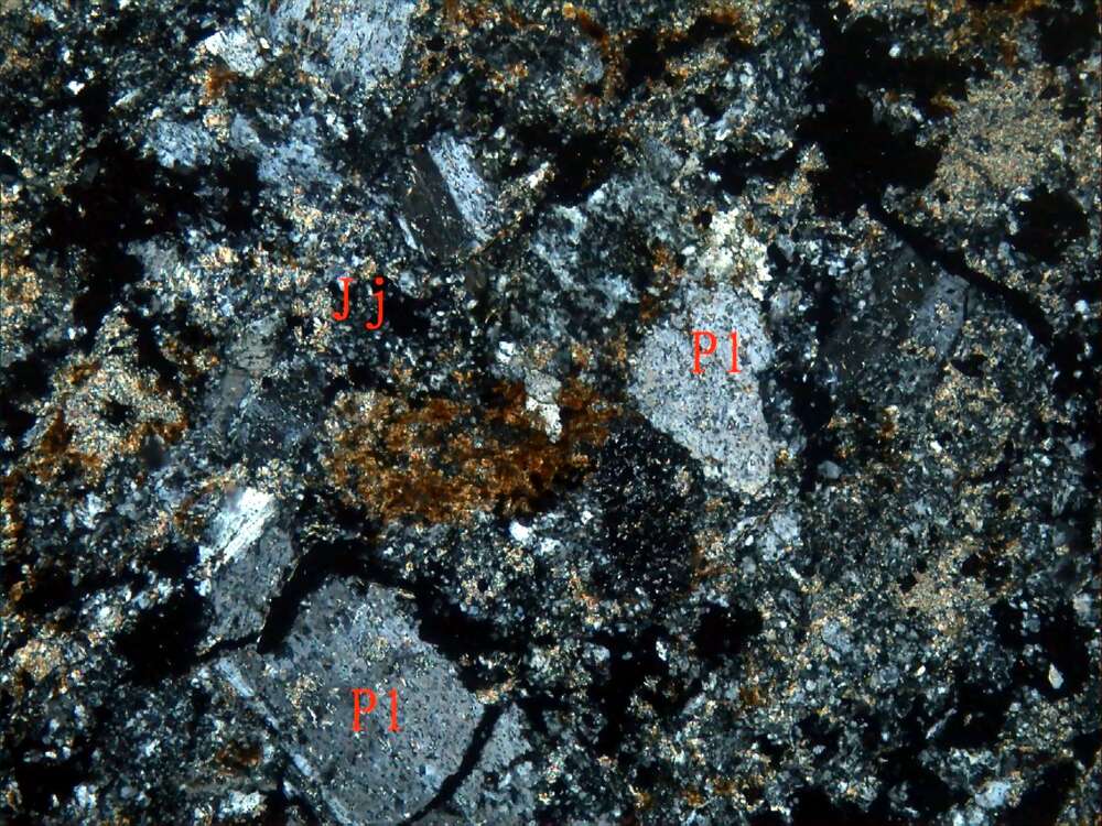 强绢云母化凝灰砂岩