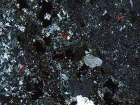 蚀变火山角砾岩