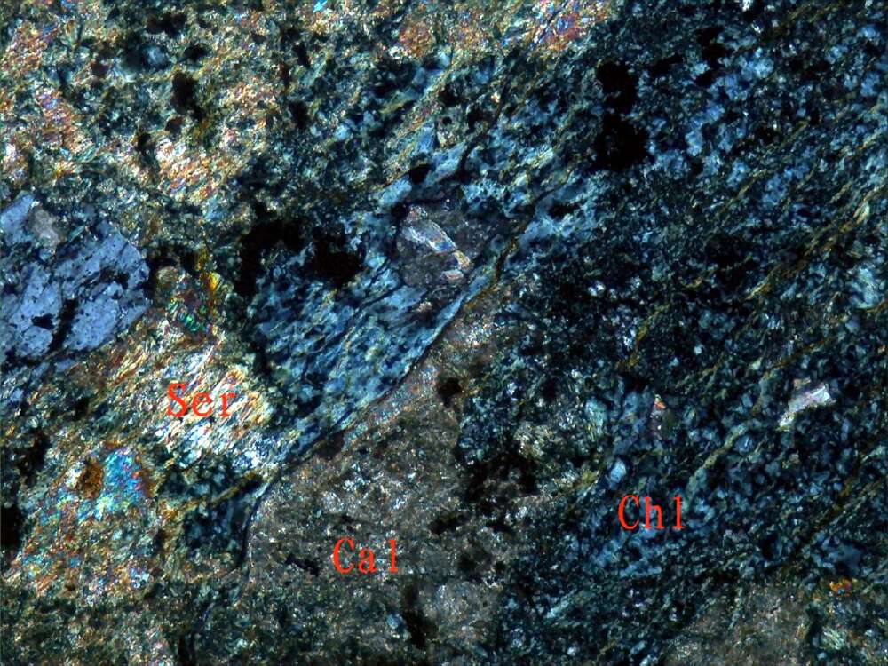 片理化绿泥石岩（全蚀变安山岩？）