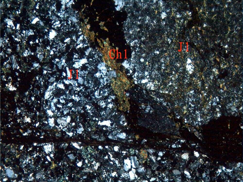黄铁矿化蚀变火山角砾岩