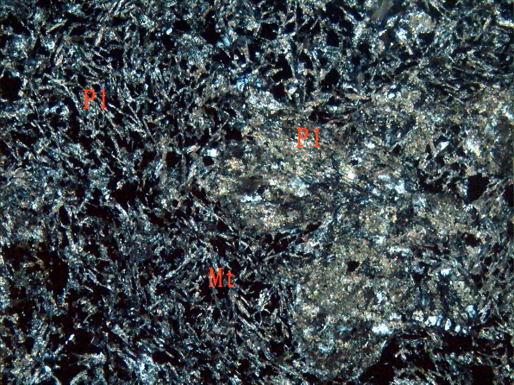 黄铁矿化强蚀变安山岩