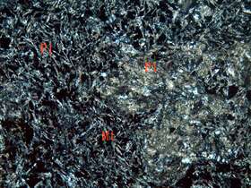 黄铁矿化强蚀变安山岩