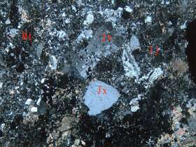 蚀变岩屑凝灰岩