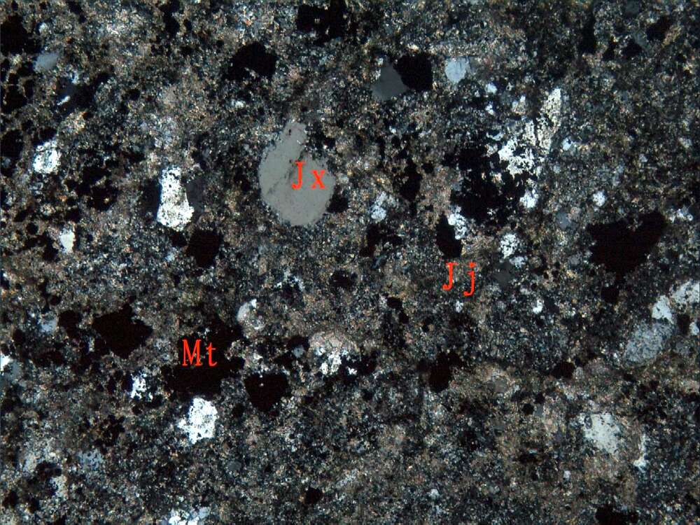 弱磁铁矿化蚀变岩屑凝灰岩