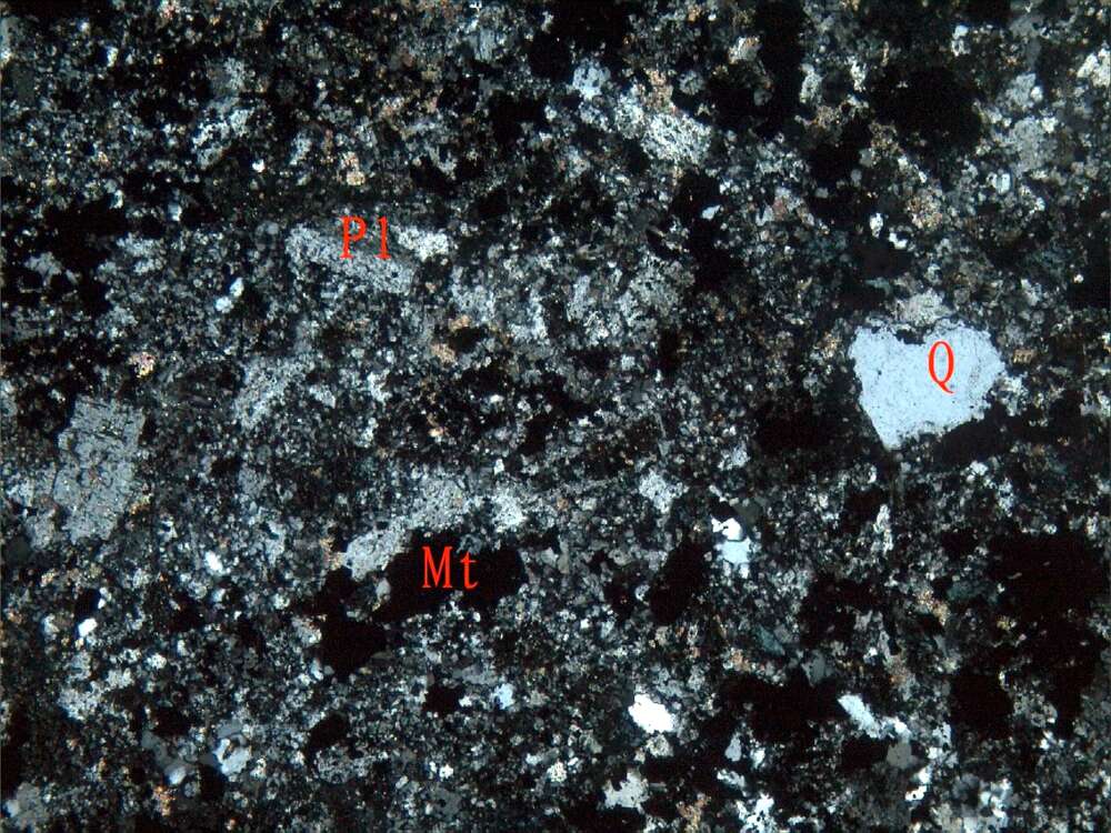 磁铁矿化蚀变岩屑凝灰岩