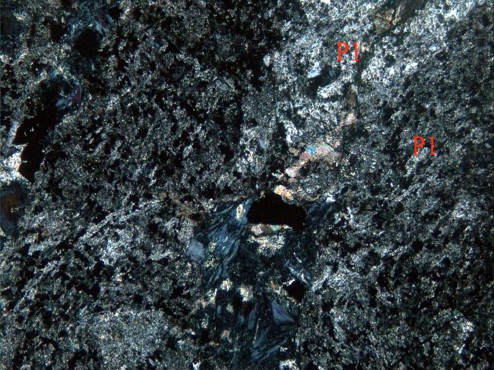 强蚀变杏仁状安山岩