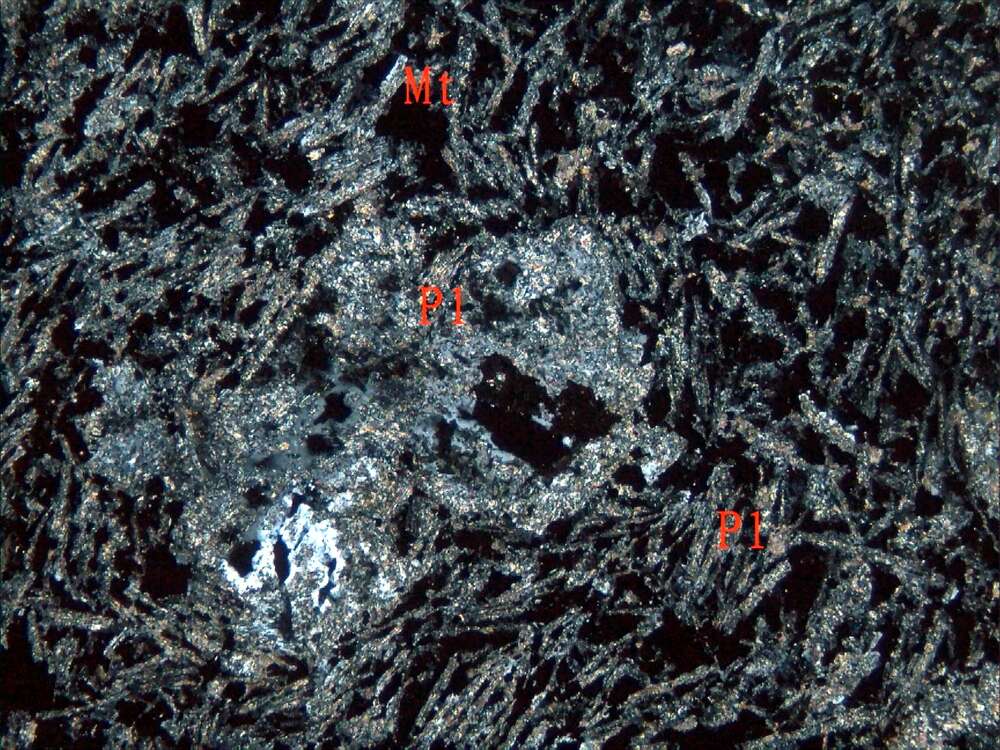 含磁铁矿强蚀变安山岩