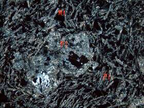 含磁铁矿强蚀变安山岩