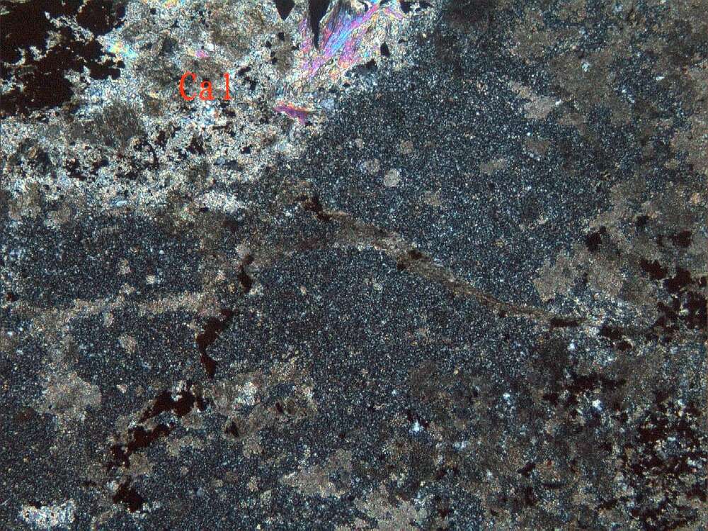 赤铁矿化碳酸盐化全蚀变火山灰凝灰岩