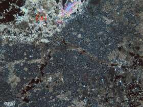 赤铁矿化碳酸盐化全蚀变火山灰凝灰岩