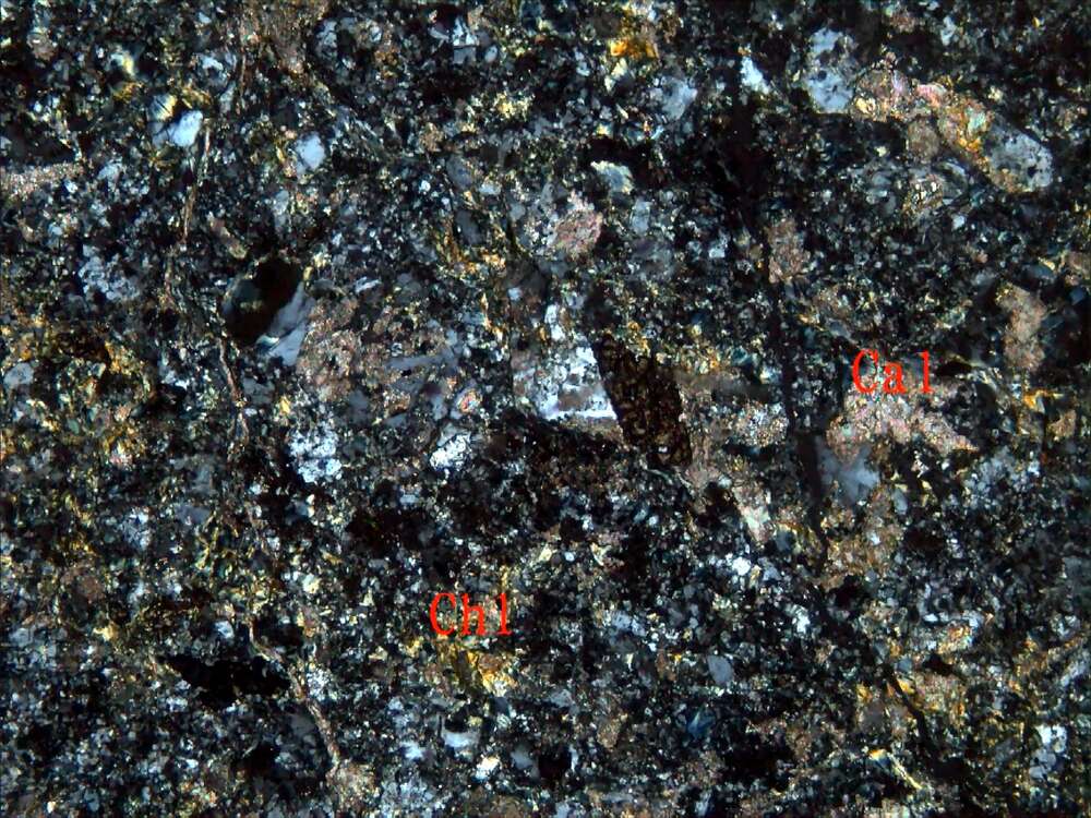 全蚀变闪长玢岩（？）