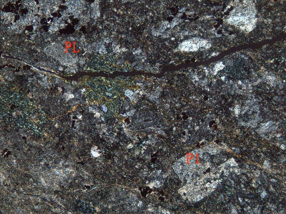 片理化蚀变安山岩（安山玢岩？）