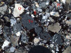 蚀变凝灰质中细粒砂岩