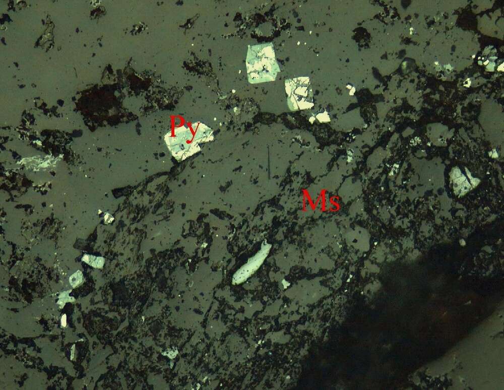 褐铁矿化黄铁矿

