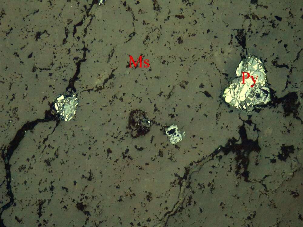 褐铁矿化黄铁矿
