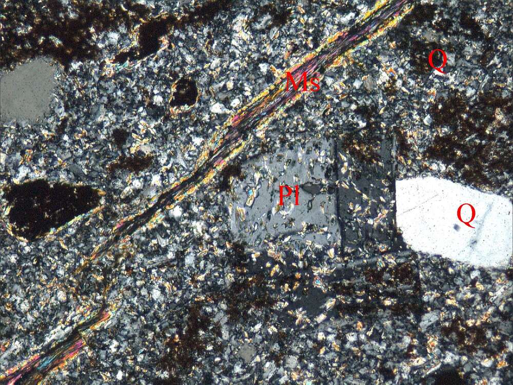 蚀变斜长花岗斑岩
