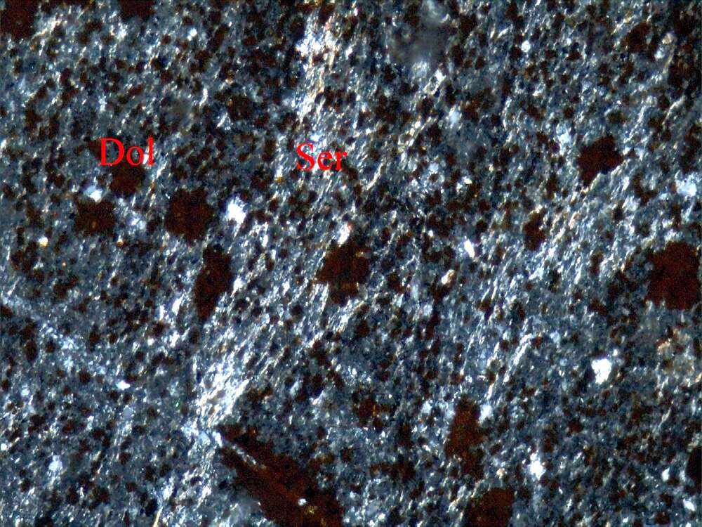 蚀变含粉砂泥岩
