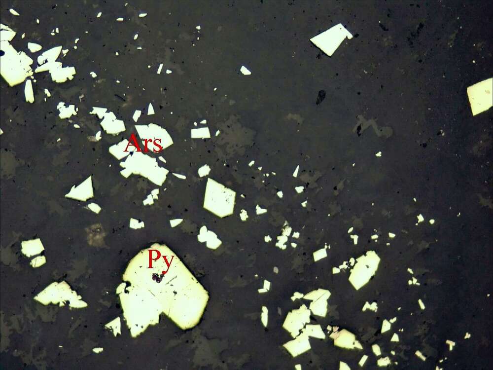 含炭质-粉砂质泥硅质岩
