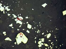 含炭质-粉砂质泥硅质岩
