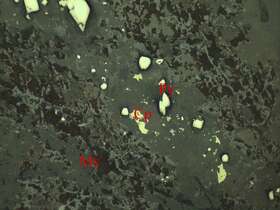 褐铁矿化黄铁矿
