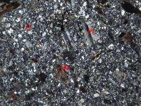 蚀变花岗闪长斑岩