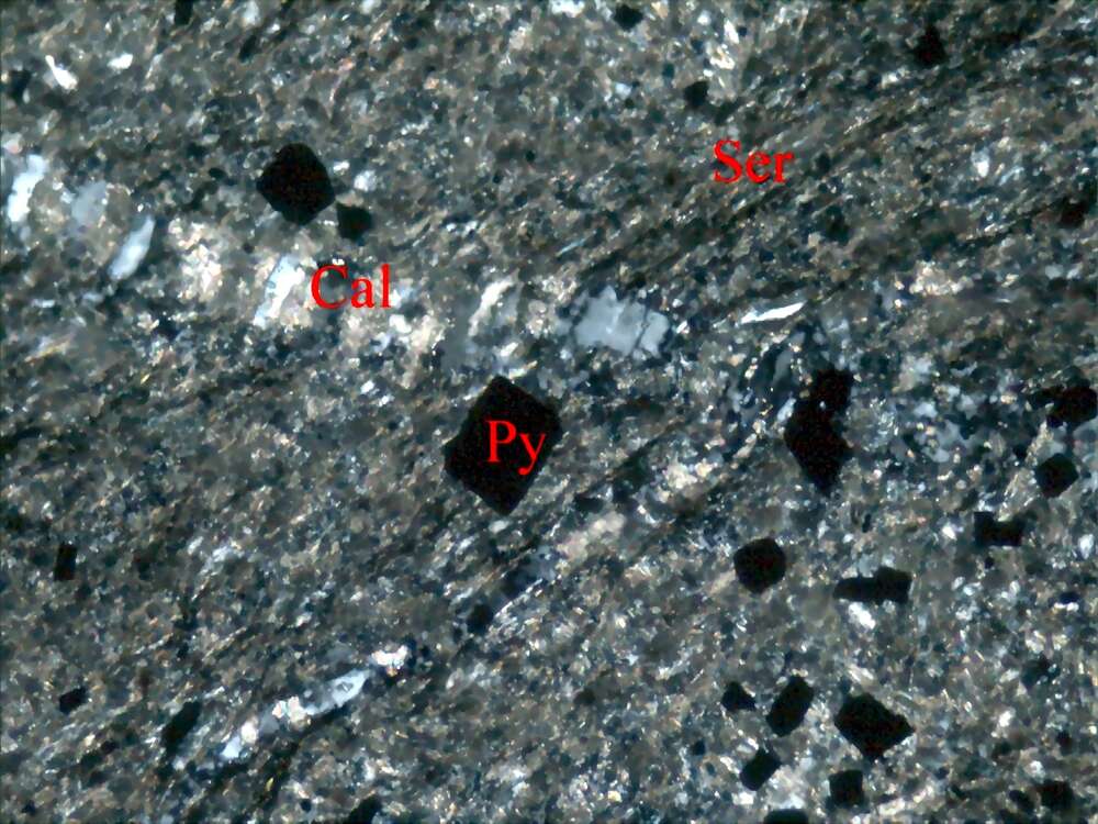 压碎蚀变粉砂泥岩
