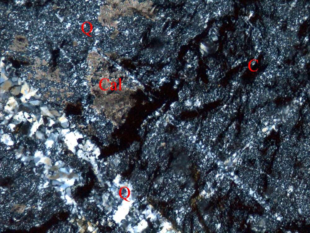 压碎含炭质硅质岩

