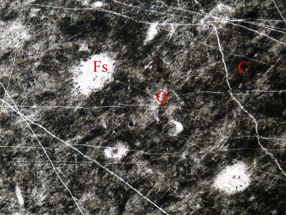 含放射虫炭质硅质岩
