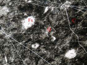 含放射虫炭质硅质岩
