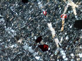 压碎蚀变粉砂岩
