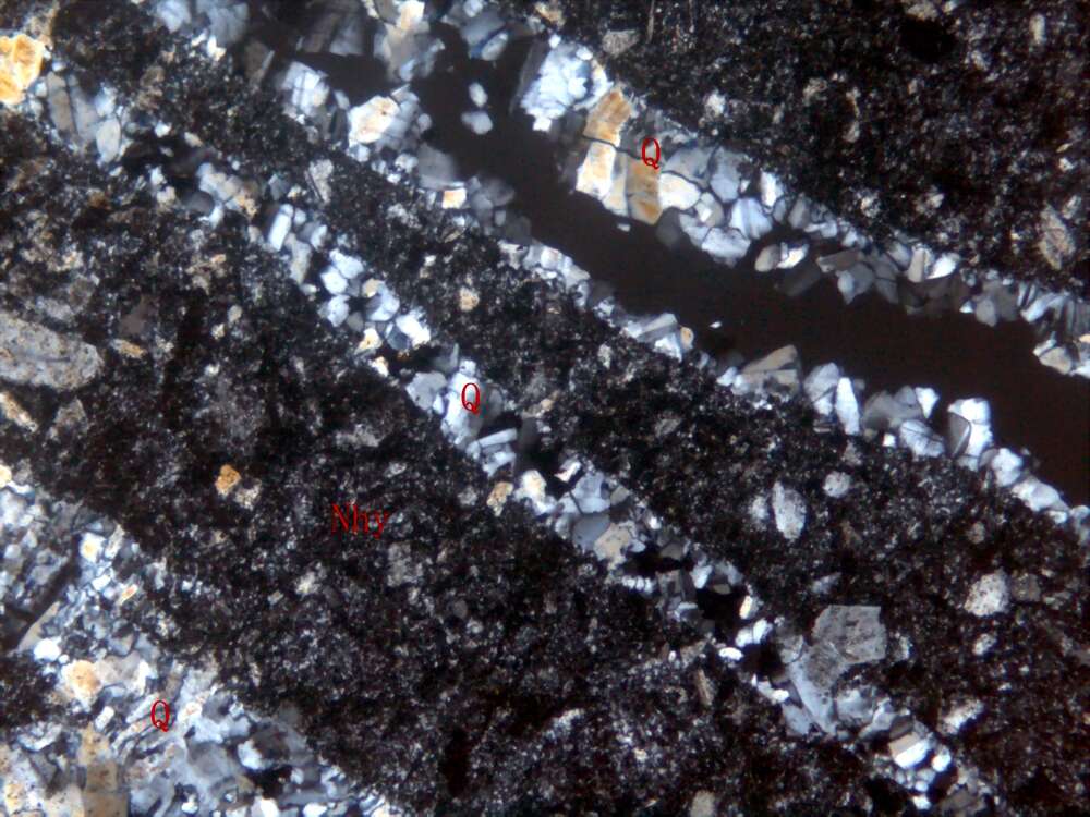 含石英脉蚀变晶屑-玻屑凝灰岩