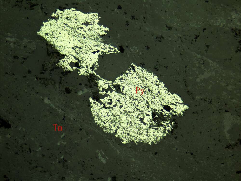 黄铜矿、黄铁矿