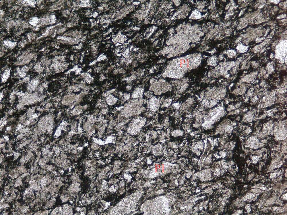 凝灰质岩屑砂岩