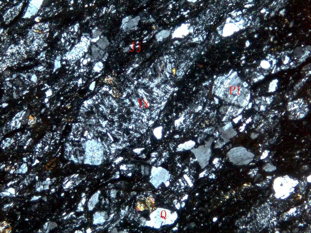 片理化蚀变凝灰质含角砾砂岩