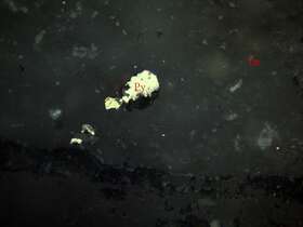 片理化蚀变凝灰质砂岩