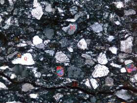 蚀变中细粒长石岩屑砂岩