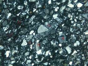 蚀变中细粒长石岩屑砂岩