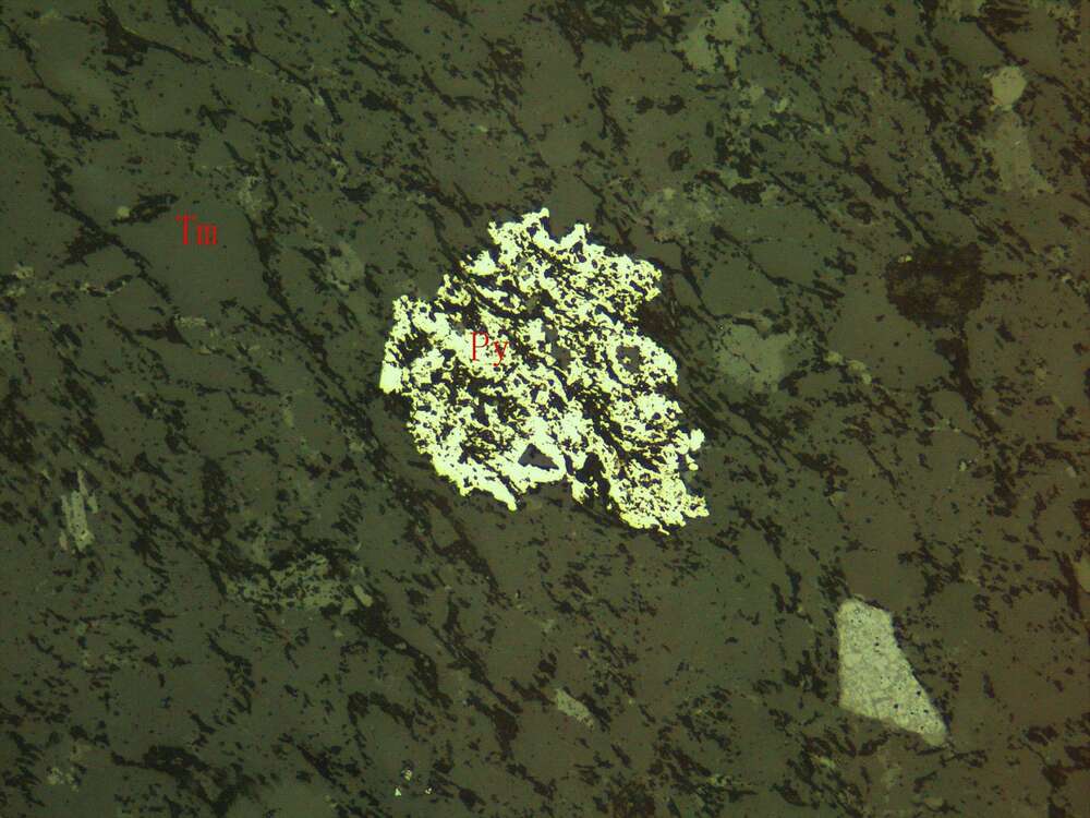 蚀变中细粒长石岩屑砂岩