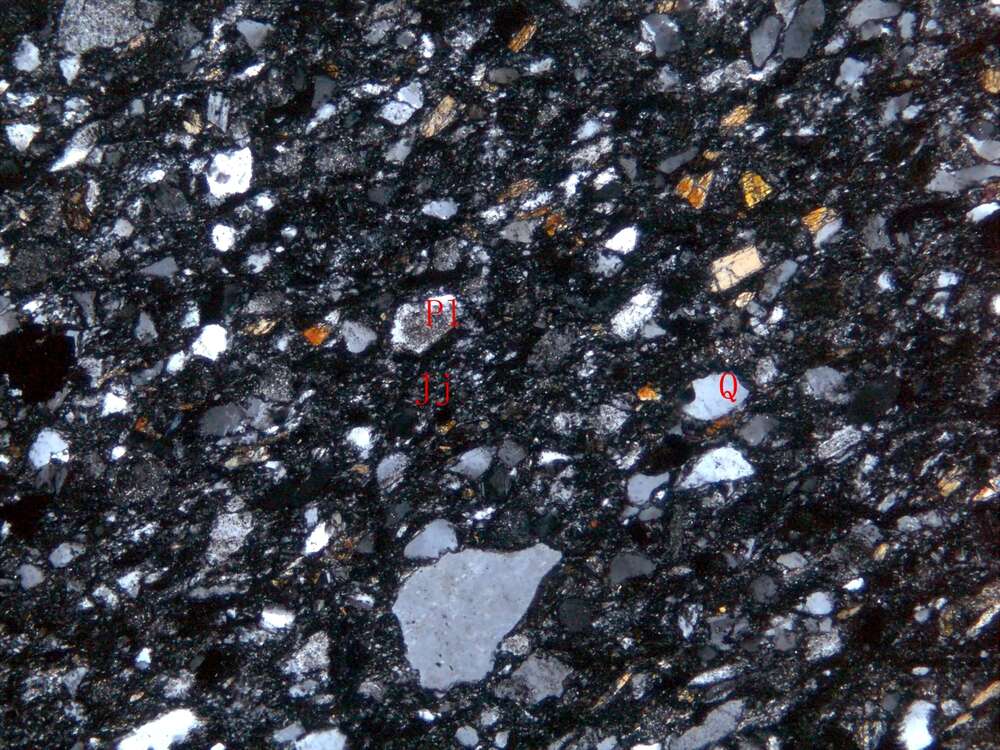 蚀变细粒岩屑砂岩