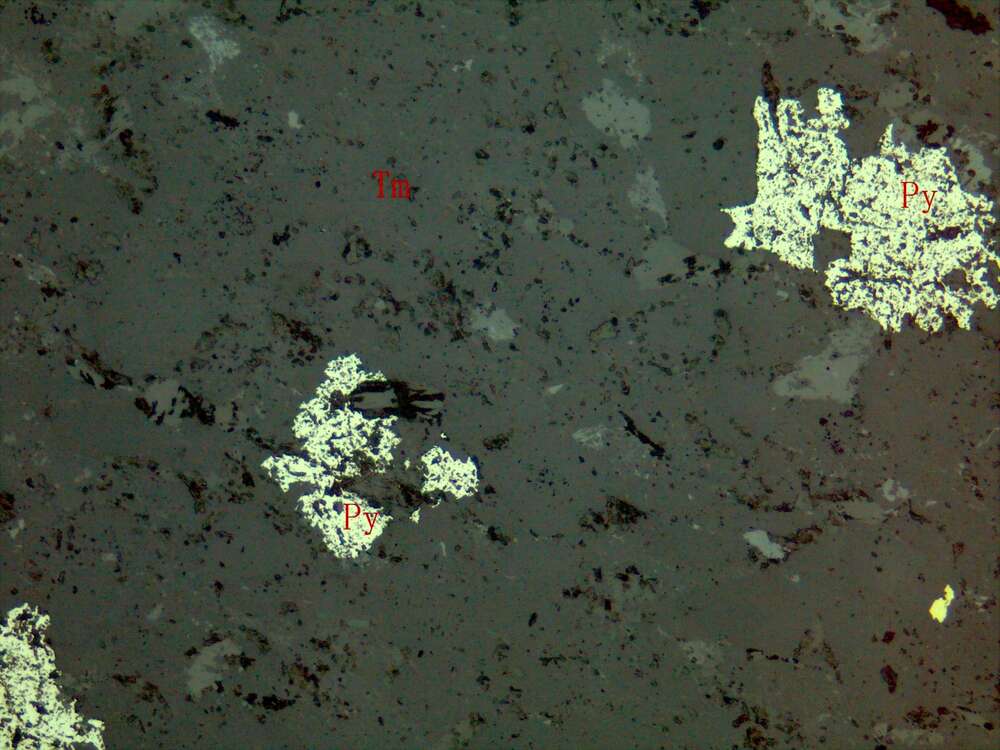 黄铜矿、黄铁矿