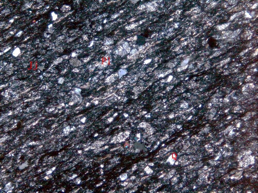 强片理化蚀变凝灰质岩屑砂岩