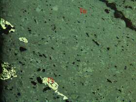 强片理化蚀变凝灰质岩屑砂岩