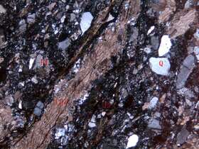 片理化碎裂蚀变凝灰质岩屑砂岩