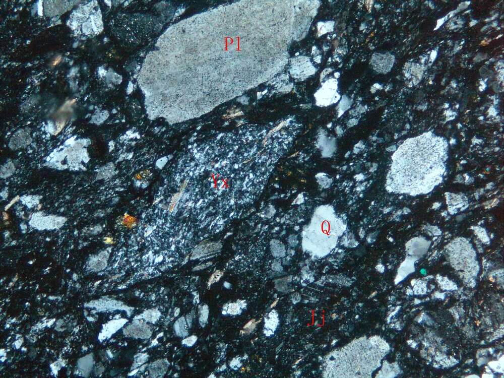 片理化蚀变凝灰质岩屑砂岩