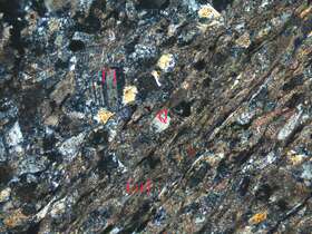 片理化钙质细砂岩