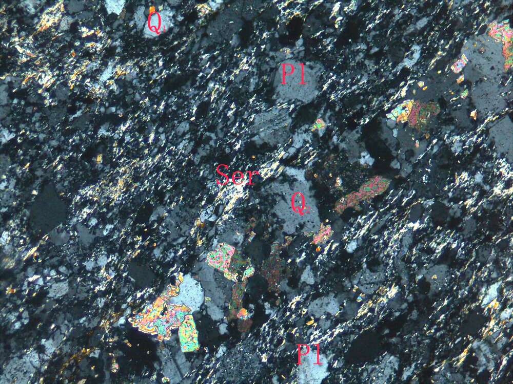 片理化钙质细砂岩