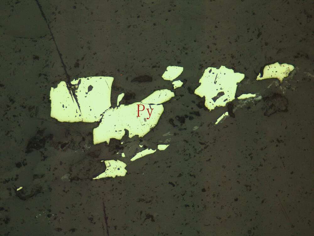 白钛石、黄铁矿