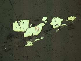 白钛石、黄铁矿