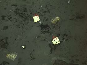 白钛石、黄铁矿