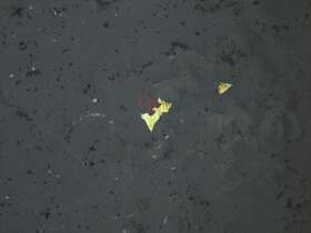 磁铁矿、黄铁矿、白钛石